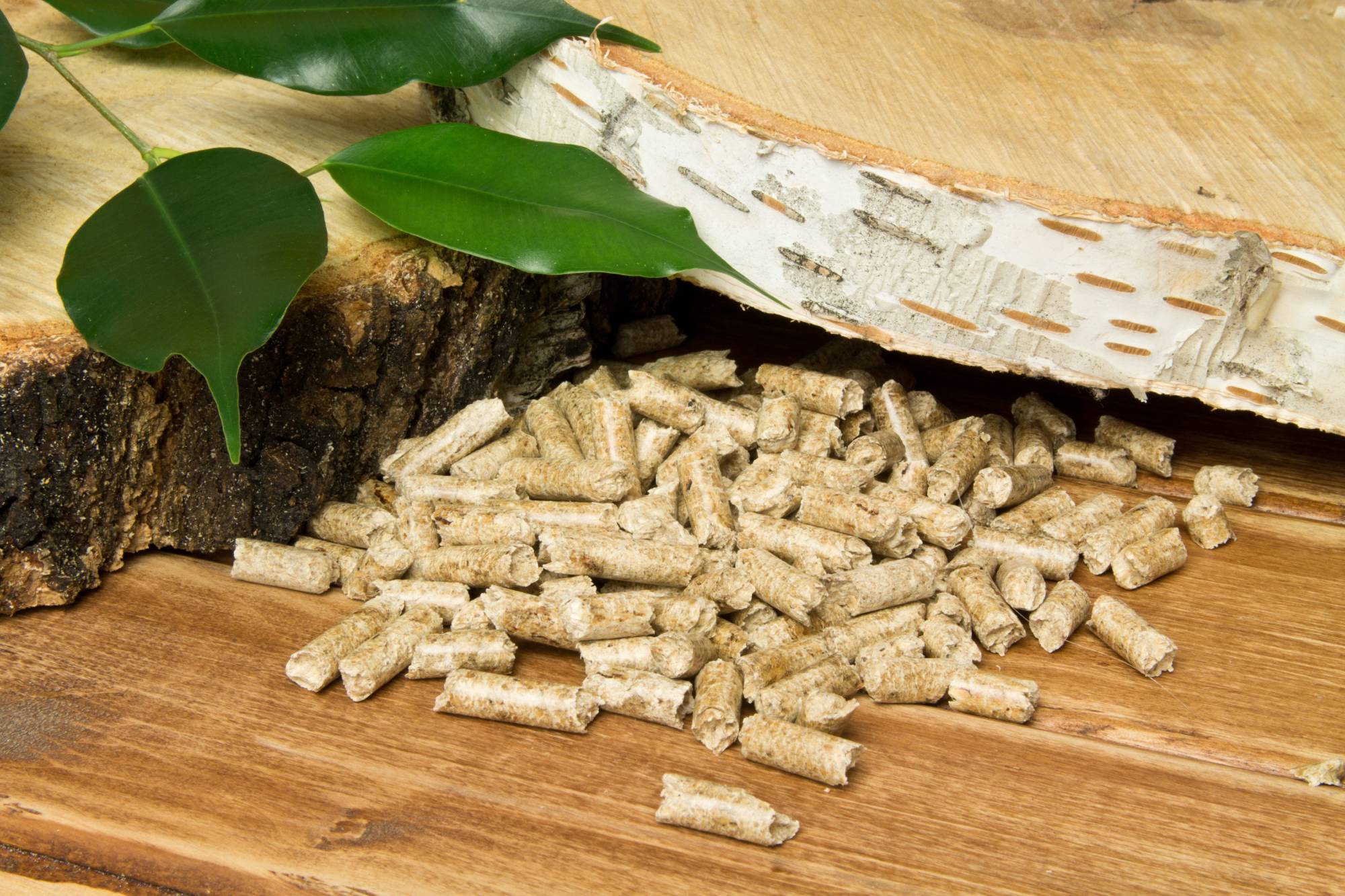 4 choses à savoir avant d&#8217;installer une chaudière à pellet chez soi Riedisheim